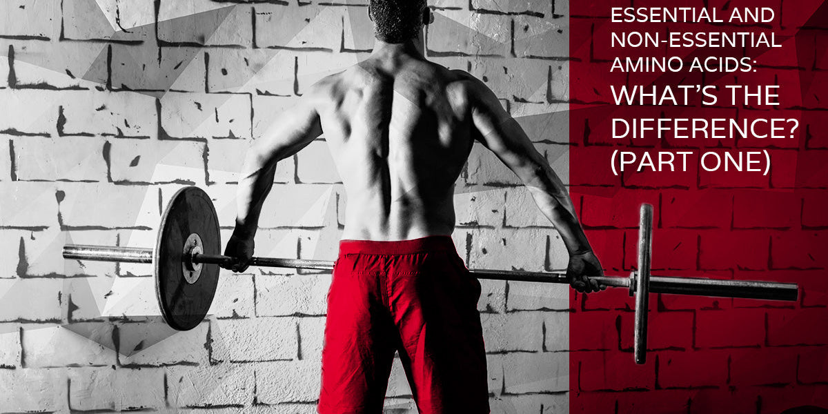 Essential Amino Acids Explained
