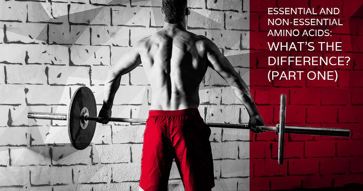 Essential Amino Acids Explained