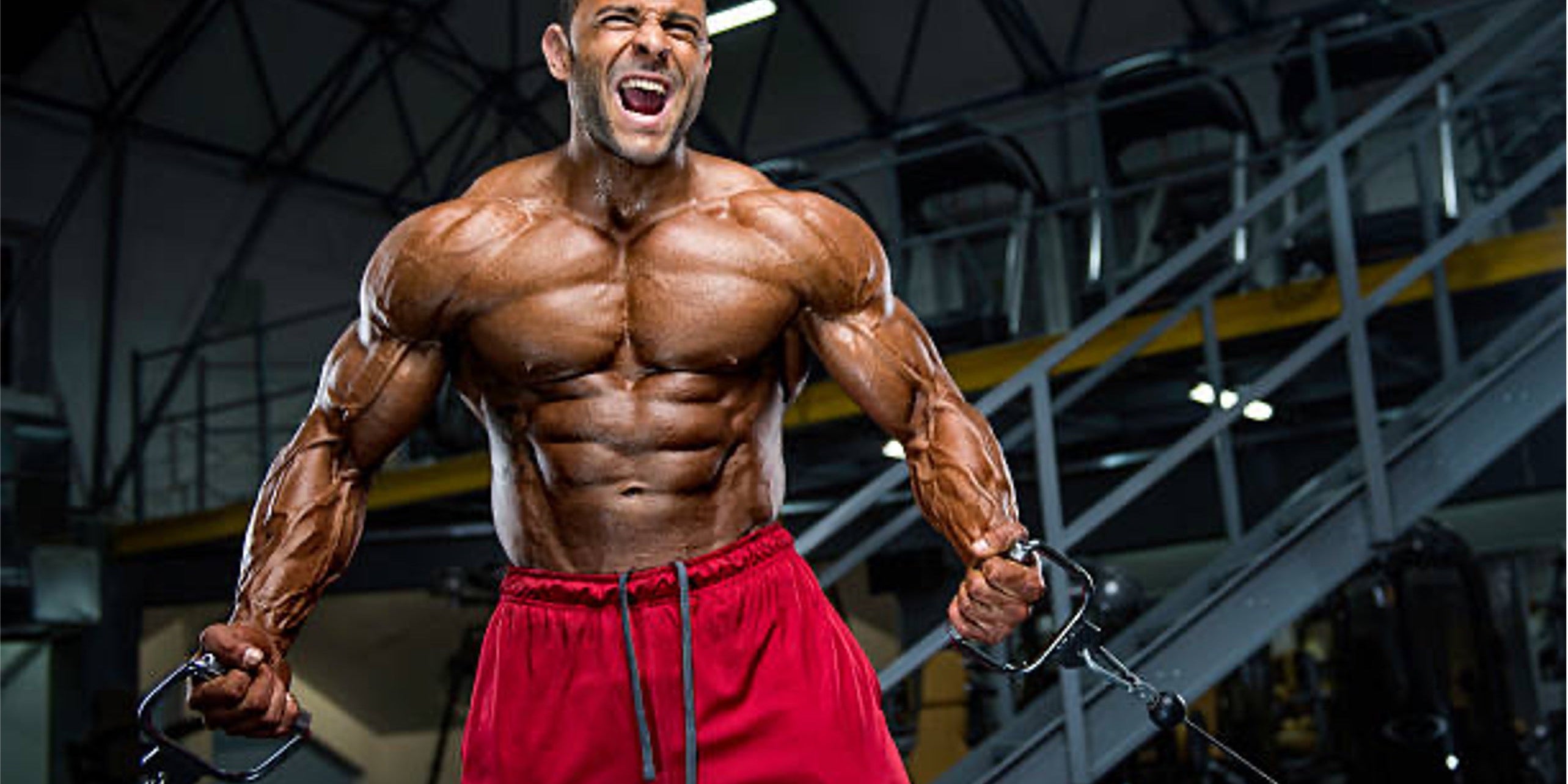 EAA vs Whey Protein Isolate for Bodybuilding