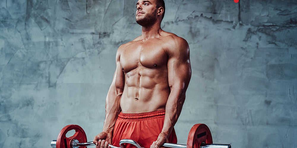 What are Adaptogens?  And why are they in our formula?