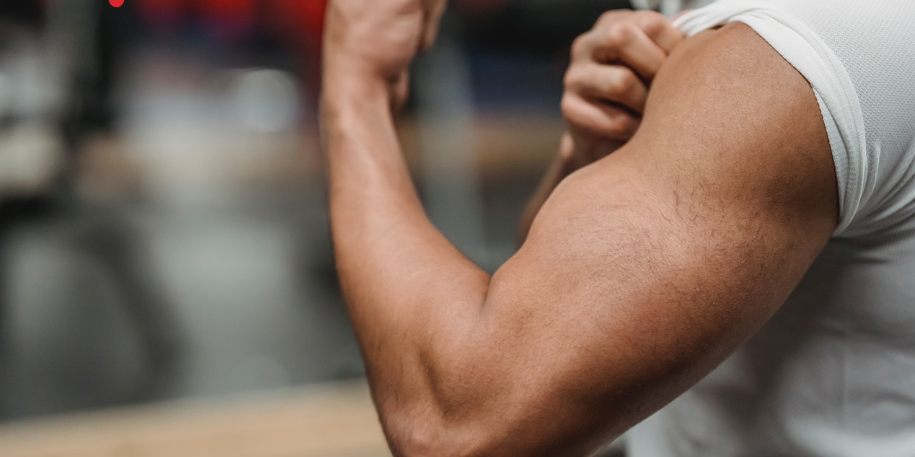Types of Muscle Growth: Myofibrillar & Sarcoplasmic Hypertrophy
