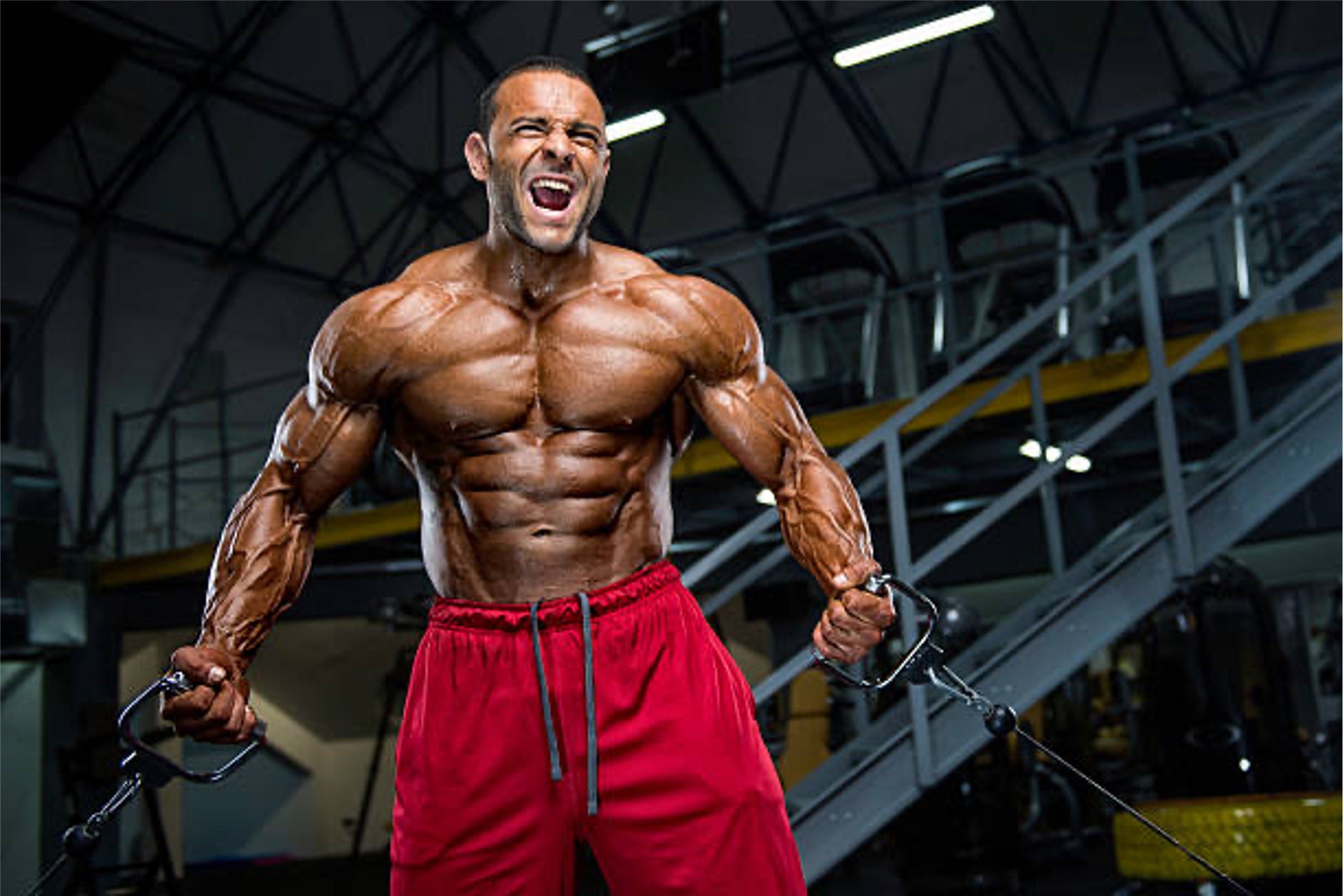 EAA vs Whey Protein Isolate for Bodybuilding